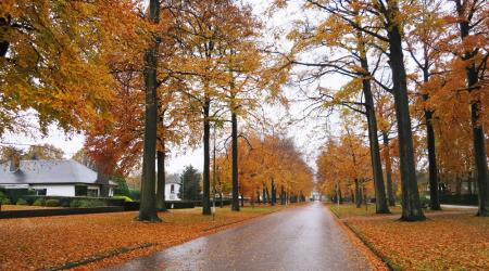 copyright gemeente Schoten gemeente Schoten
